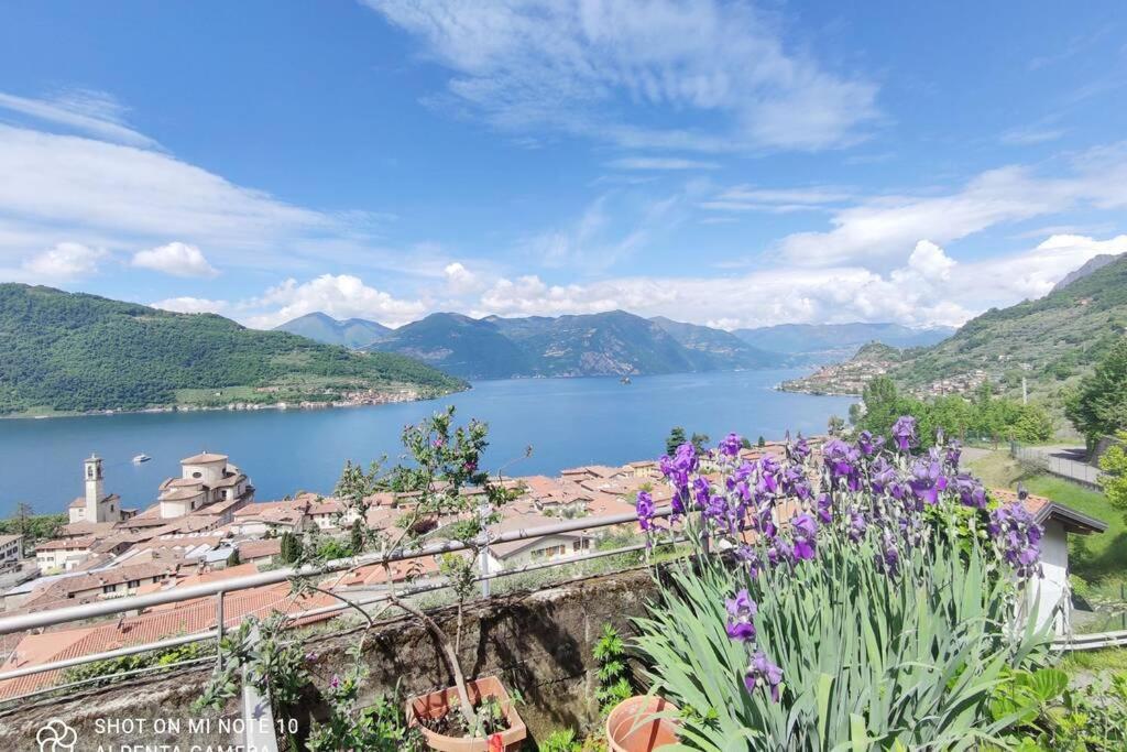 Gioiello Sul Lago D'Iseo Sale Marasino Εξωτερικό φωτογραφία